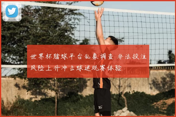 世界杯赌球平台乱象调查 非法投注风险上升冲击球迷观赛体验