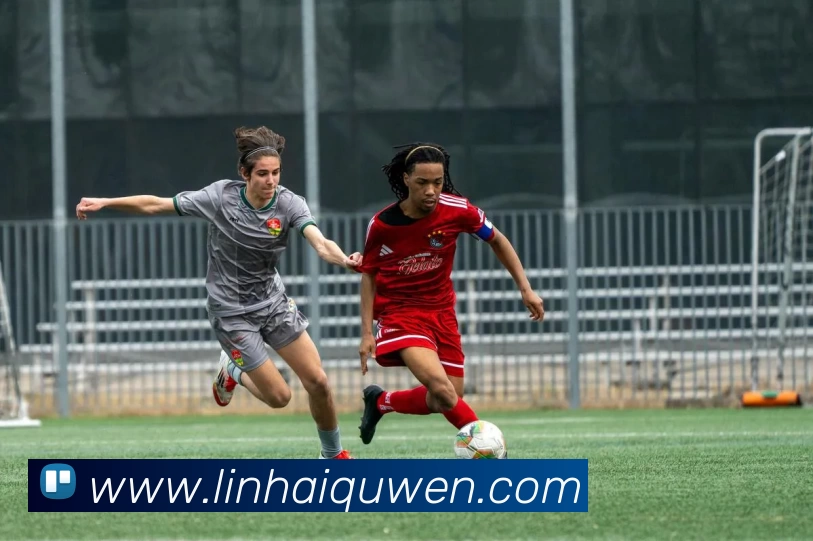 欧宝网页版页面登录 - 欧宝(中国)平台生态图