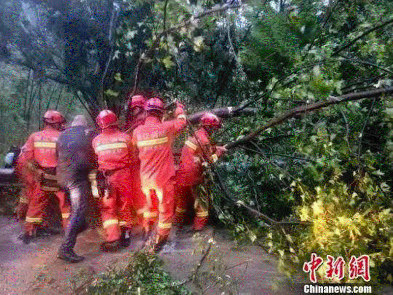 临海本地新闻